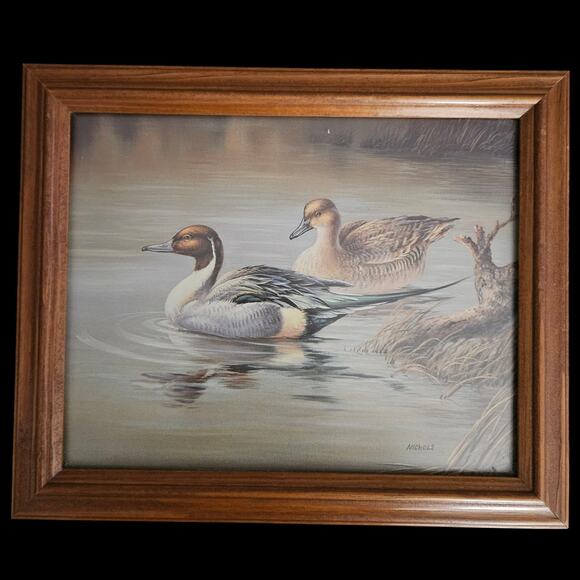 Pair Framed Duck Prints by Nichols – Wood Ducks & Pintails Waterfowl Art 10x12 - Picture 5 of 7